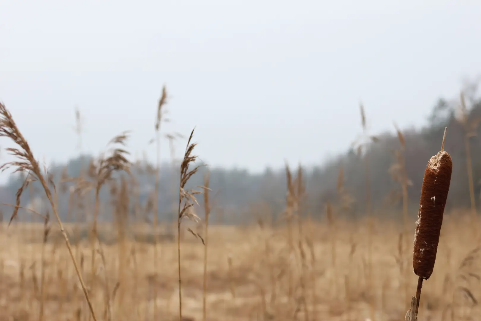 Ventilation i Huddinge — VentilationHuddinge.se